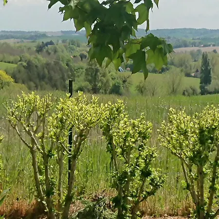 Le Breuil En Perigord - Charme Et Confort - Fr-1-653-269 Prázdninový dům