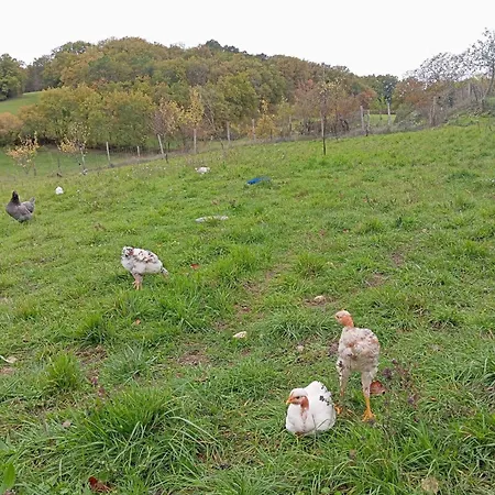 Le Breuil En Perigord - Charme Et Confort - Fr-1-653-269 * Salles-Lavalette