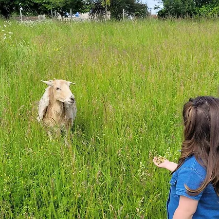 펜션 Le Breuil En Perigord - Charme Et Confort - Fr-1-653-269 Salles-Lavalette