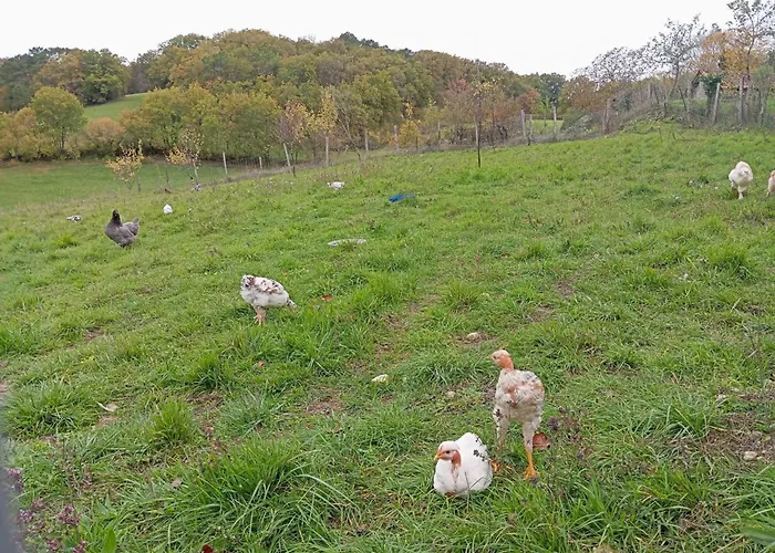 Le Breuil En Périgord - Spacieux Avec Cheminée Et Parc - Fr-1-653-269 * Salles-Lavalette