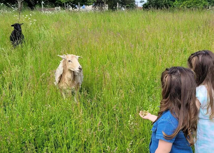 Сasa de vacaciones Le Breuil En Périgord - Spacieux Avec Cheminée Et Parc - Fr-1-653-269 Salles-Lavalette